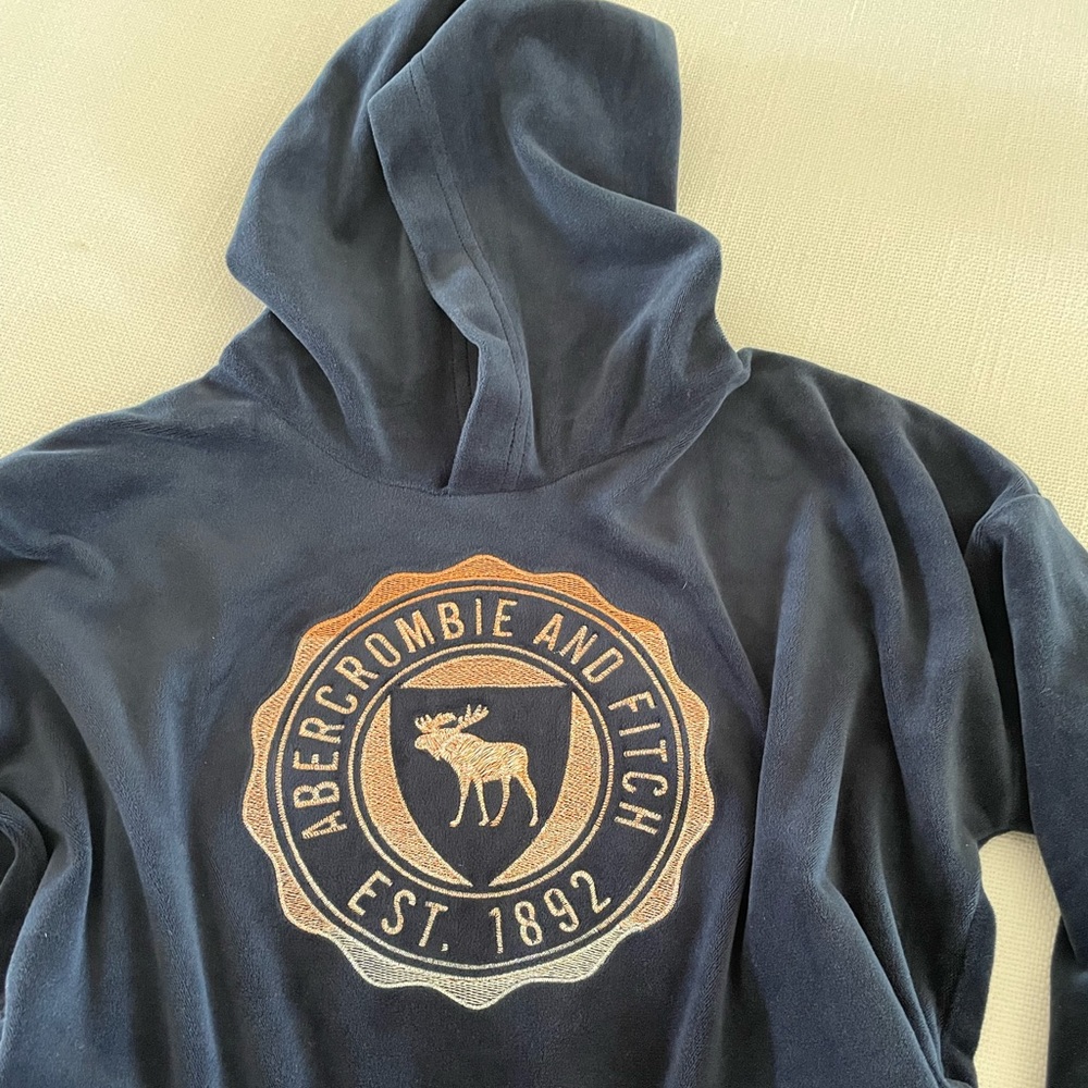Abercrombie Kids velvet Hoodie, Girls Size 9/10.